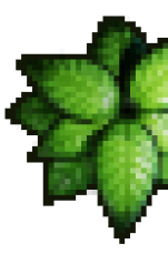 Eine Nahaufnahme mehrerer pixeliger grüner Blätter auf schwarzem Hintergrund.